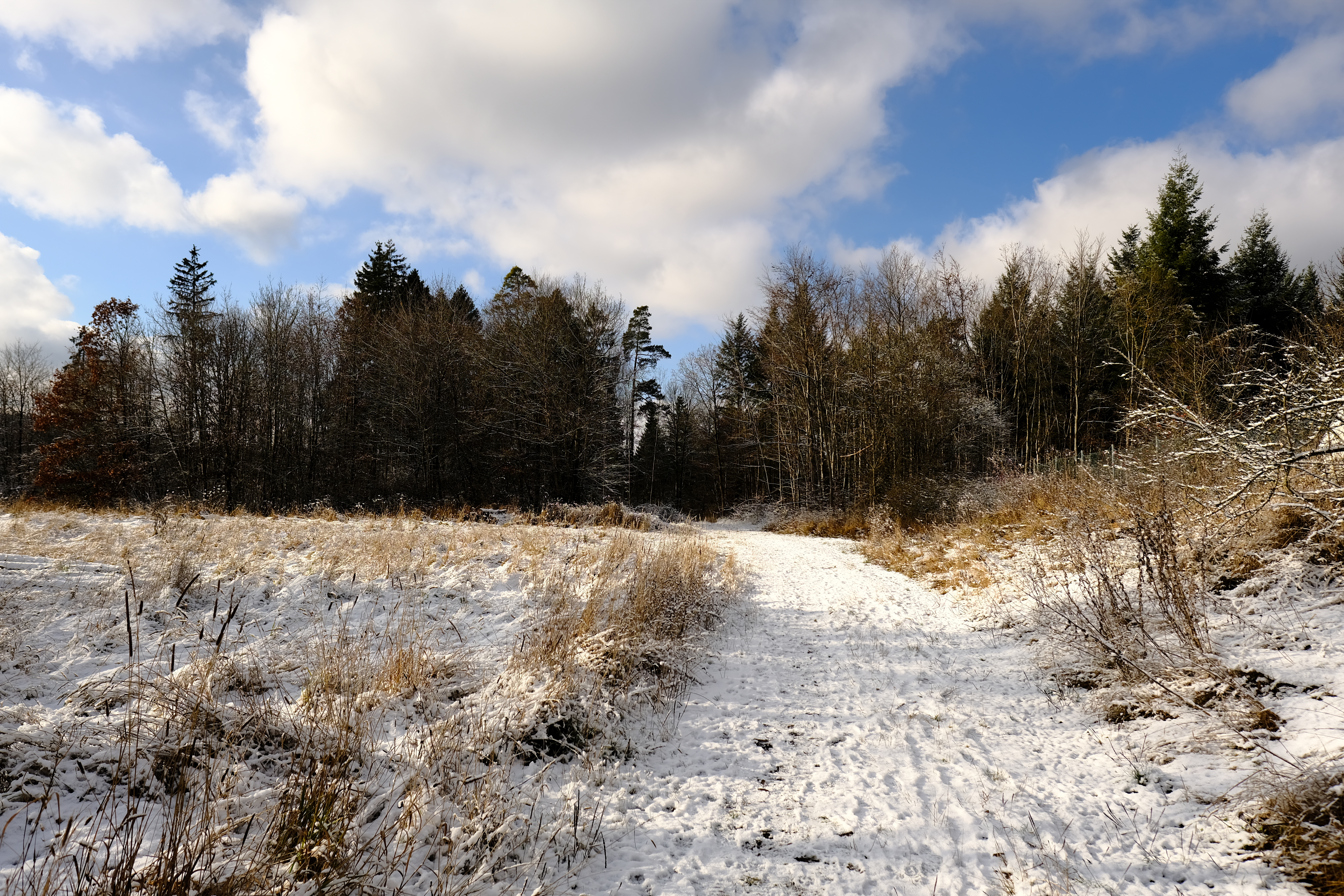 Winter"wonderland"