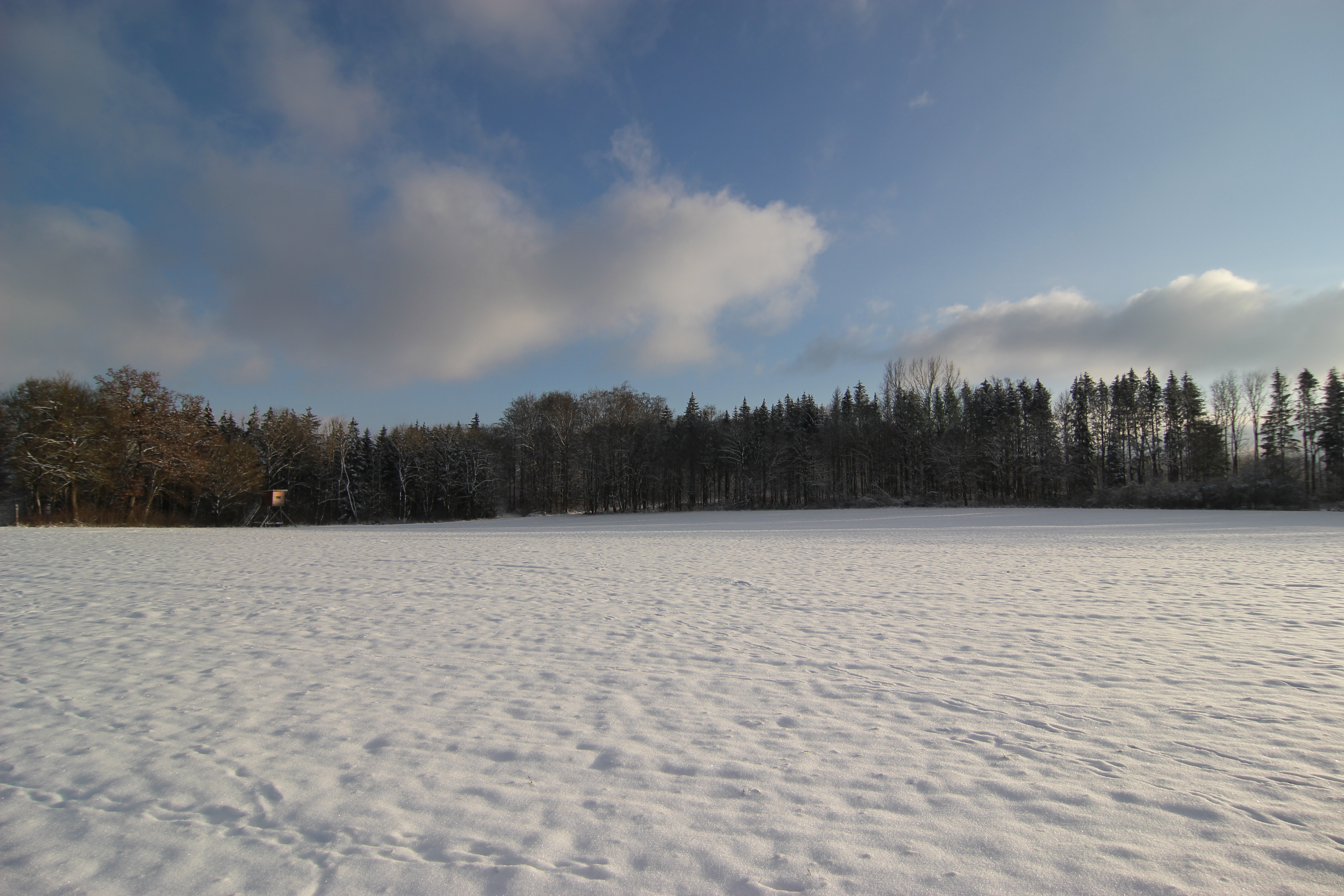 Winter"wonderland"