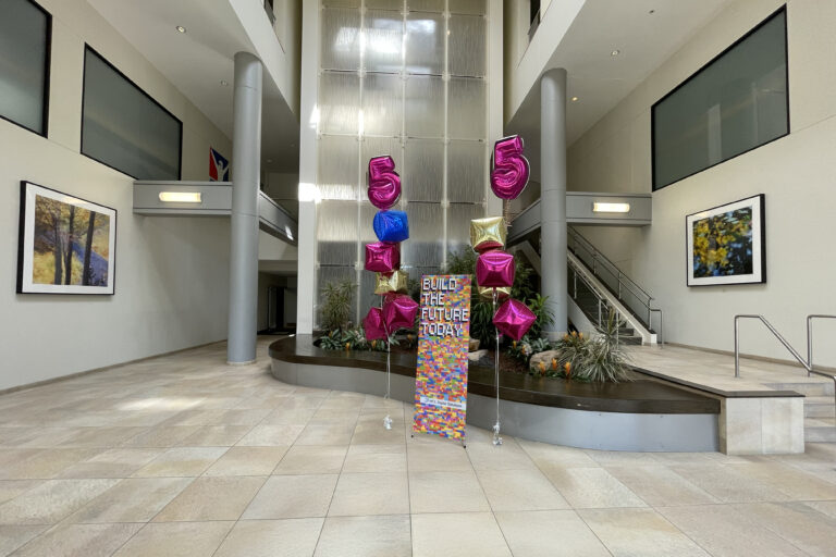 DX Design Leadership and Designer Management